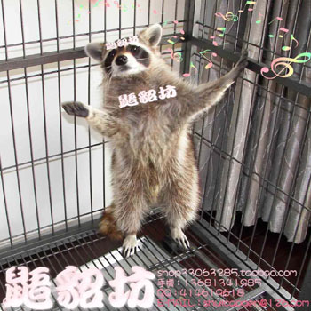 �Ϸ����ڳ�����ܣ�