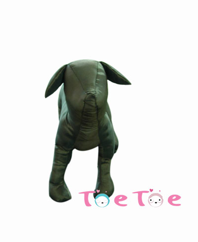 ���(toetoe)����ģ��