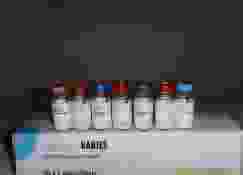 ����Ӣ����������Ȯȫ������