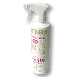 ����KOTE-GLO�Ἢ���ϴ������������� 