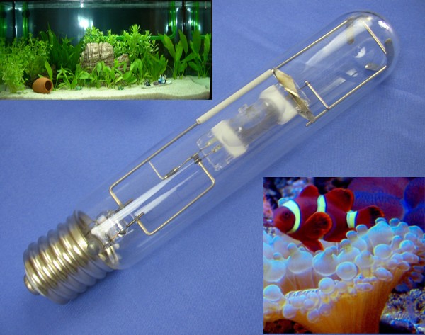��Ӧ����һƷ��250W-T����ר�ú�ˮˮ���±��
