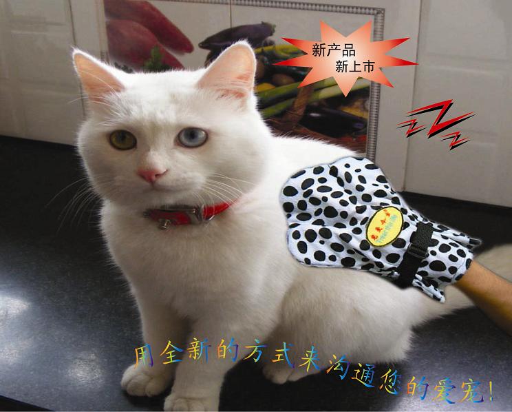 ��Ӧ�����񶯰�Ħ����