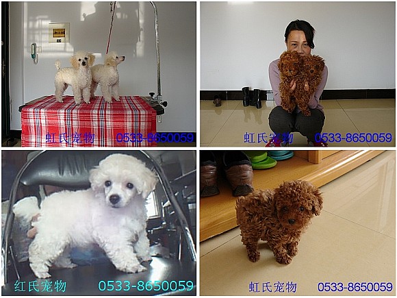 ɽ���Ͳ����ϳ���==