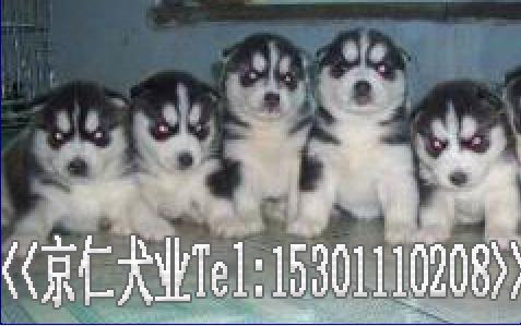 ����Ȯҵ���۹�ʿ������%-��Ӧ���ﹷ