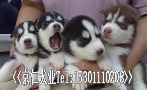 ����Ȯҵ���۹�ʿ������% -��Ӧ���ﹷ