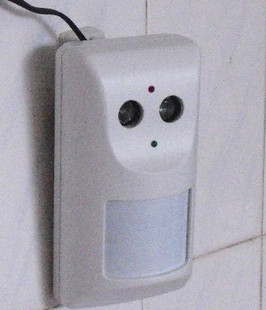 �ڹ�ʽ�Զ������߸�Ӧ����������è��