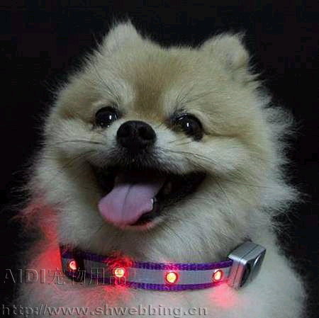 LED����С����Ȧ���ﹷ��Ȧ����Ȧ