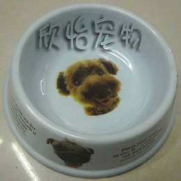 ��Ӧ����;�