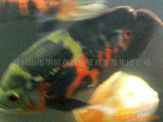 ��Ӧ�ȴ���ˮ�������ͼ��