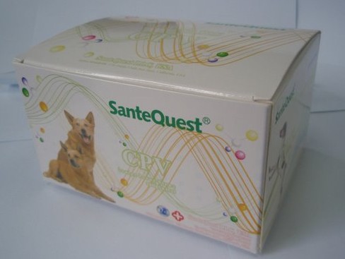 ����SanteQuestȮϸС��������⿨