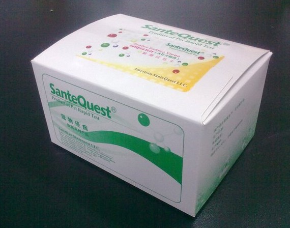����SanteQuest ��Ȯ����������⿨