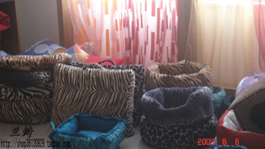 �ṩ���ֳ��ﹷ��/����/�нӸ�����������