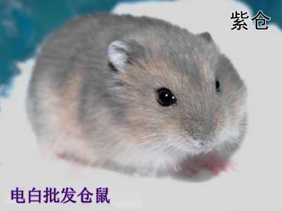 �ϲ�