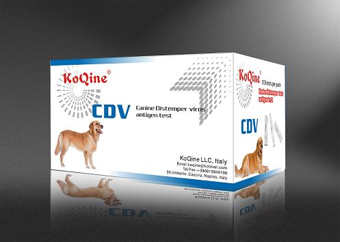 ���������Ȯ����CDV�����ֽ�����д���