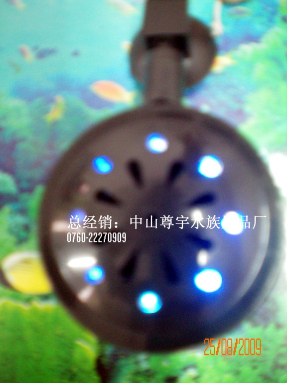 ��Ӧ�㱦���ܾ�����-��Ӧ����ˮ����Ʒ