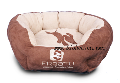 ���׶� Freato ����Ʒ�� �߼���Ƥ�� ���� è�� ����