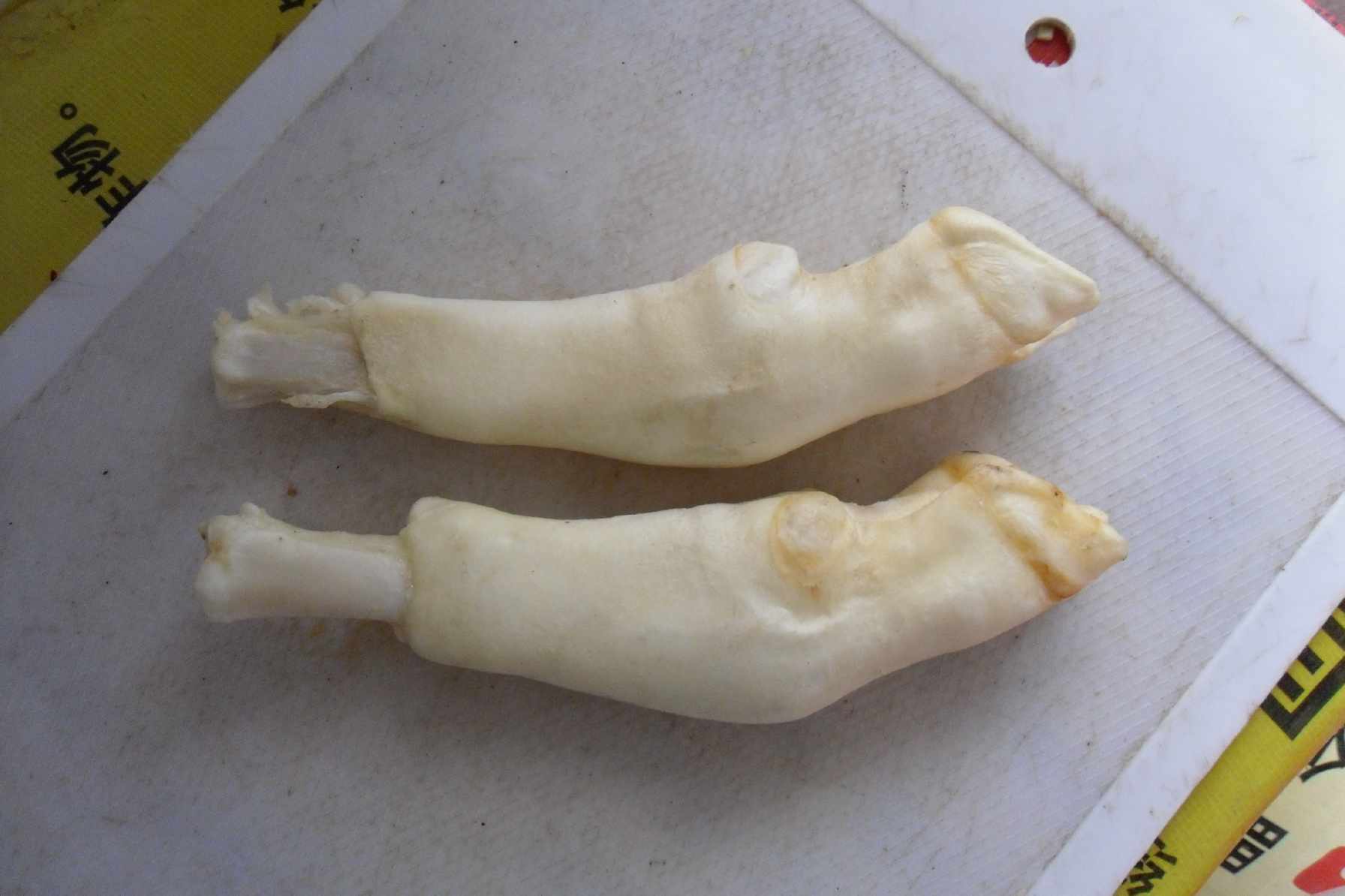 青岛晋宠食品有限公司