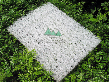 ɽ��͸������ձ ���ר����Ч���������� ����ר����Ʒ
