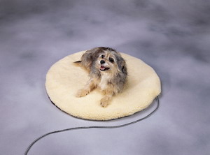 ������ȵ�/pet heat mat/������ȵ�/������ȴ�
