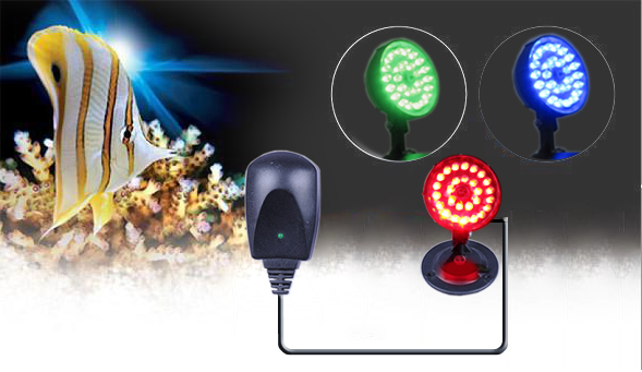 ˮ����LED�ƾ�