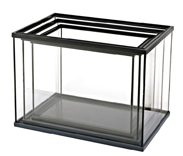 ����С��� AA-003