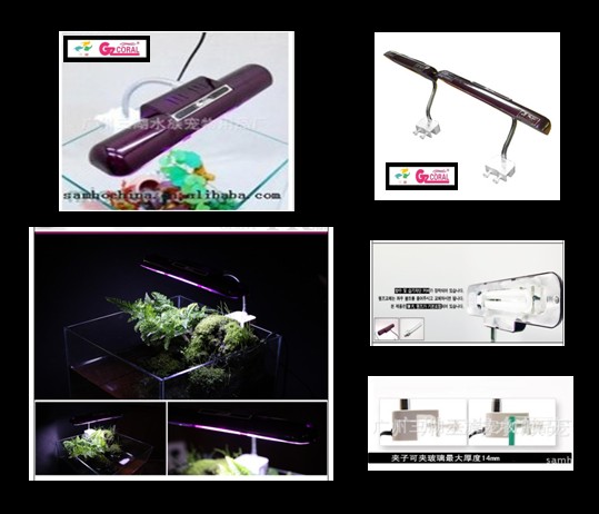 ��Ӧ����еƣ������ͣ�