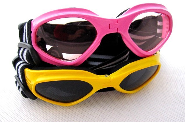 adjustable Pet eyewear�ɵ��ڹ�̫����