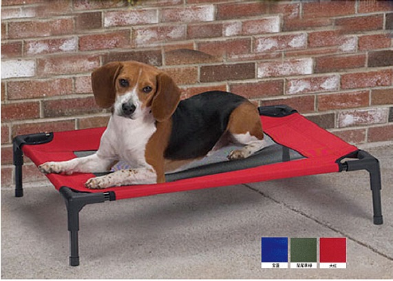 Petcomer �ɿ��� �ɲ�ϴ���ﴲ �о�