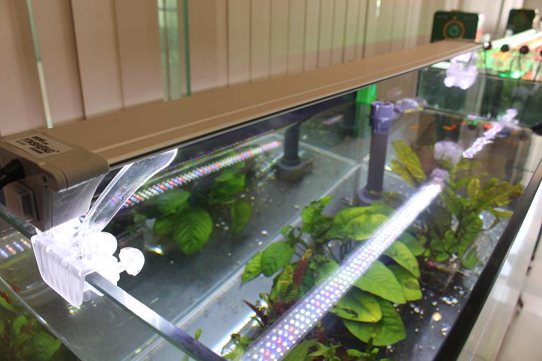 ������ɢ��LED��  ��ң��