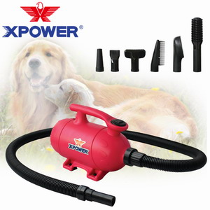 XPOWER������ ���ﴵˮ�� ��ˮ+����˫���� 1000W