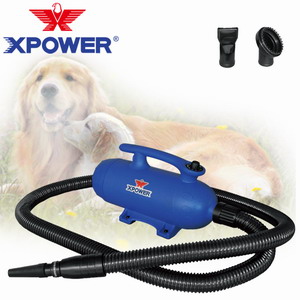 XPOWER������ ˫������������ﴵˮ�� 2500W