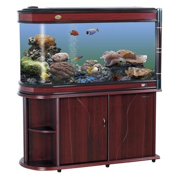 ��Ӧ����UR-S�ӵ�ͷ��US-S1000