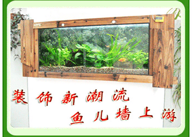 ������Ӧ�����⻻ˮ�ڹ���� ̿��ľ��̬�ڹ�ˮ����