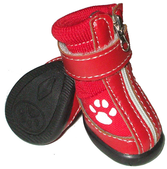 ���l���Q���ڌ���Ь ��Ь dog shoe ��ӆ��-��Ӧ��Ь