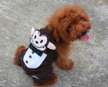 sunnydog�����װ���д���