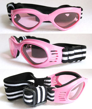 pet goggles ����羵 �۵������۾� ��̫�۾�
