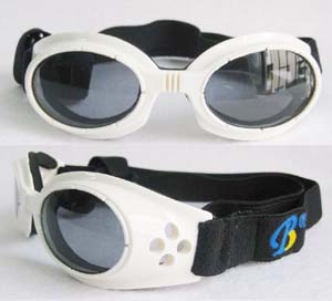 pet eyewear �����۾� �� �� С�빷��̫����